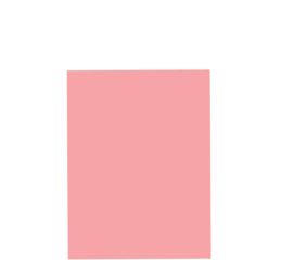 PAPEL CARTOLINA  ROSA G/M² 120 C/100FLS